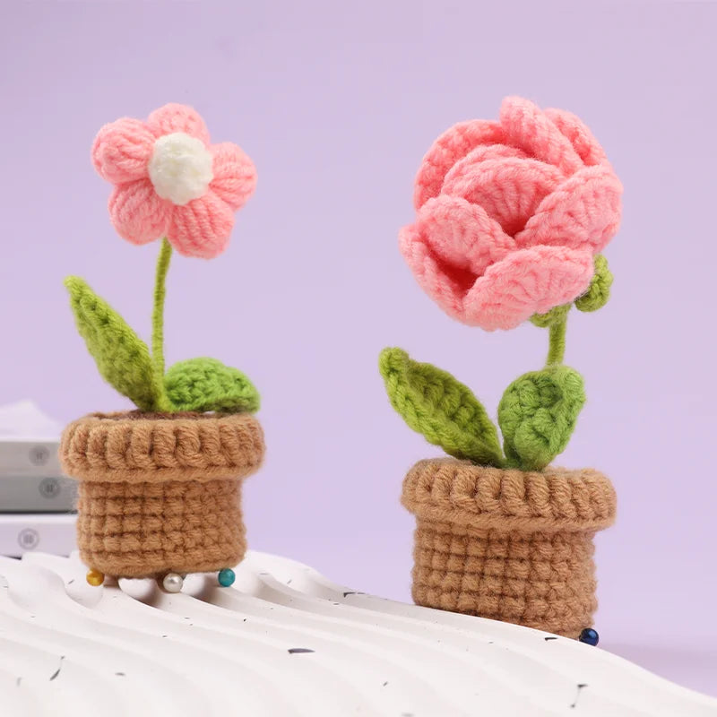6pcs Crochet Potted Flower Kit With Tutorial