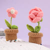 6pcs Crochet Potted Flower Kit With Tutorial