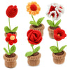 6pcs Crochet Potted Flower Kit With Tutorial
